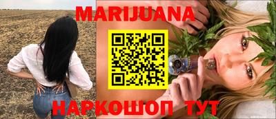 дмт Будённовск