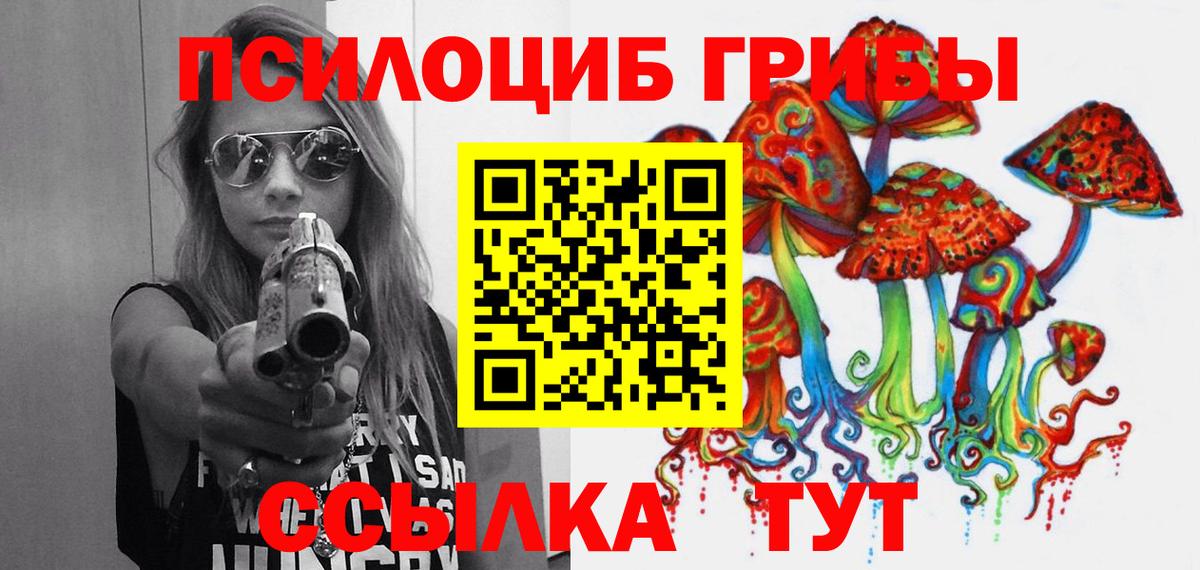 Псилоцибиновые грибы прущие грибы  Вход с VPN  Шумерля 