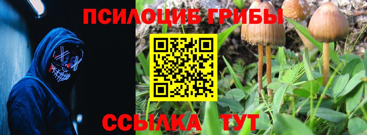 Галлюциногенные грибы ЛСД Шумерля